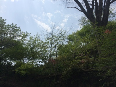 c0096287_22290505.jpg