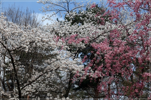 b0151893_9181515.jpg