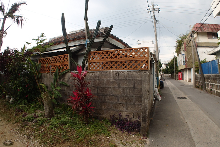 a0277496_20334270.jpg