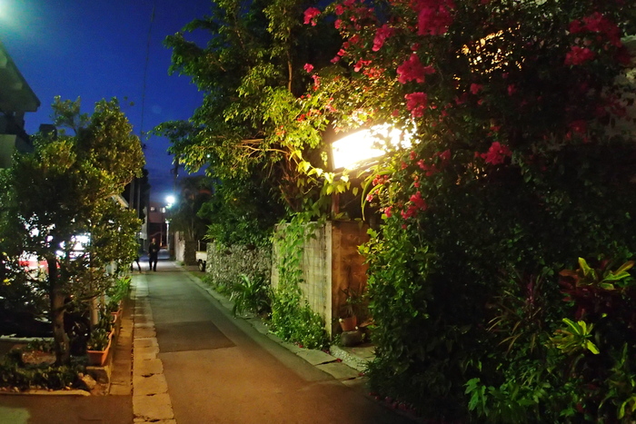 a0277496_20545822.jpg