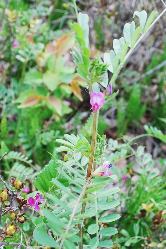 e0025300_2084271.jpg