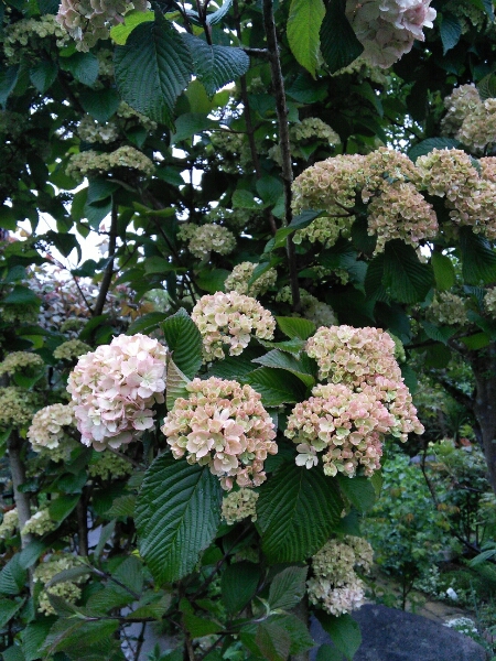 b0307008_7323438.jpg