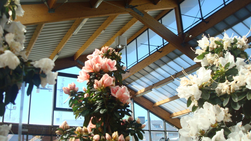 e0255908_1747538.jpg