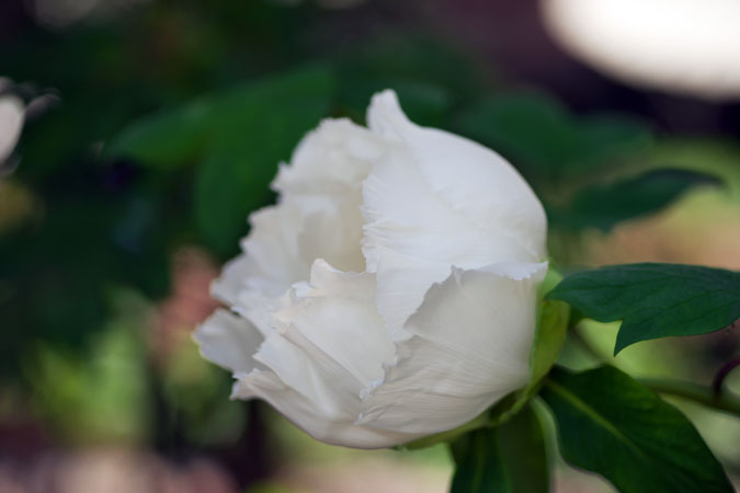 a0263109_17332836.jpg