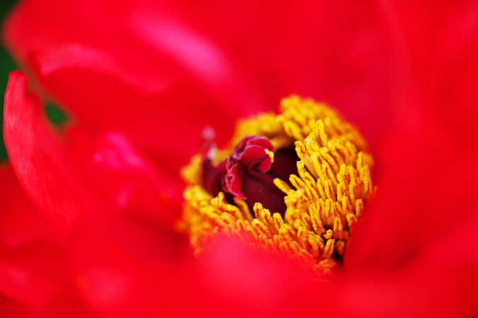 a0263109_17355791.jpg