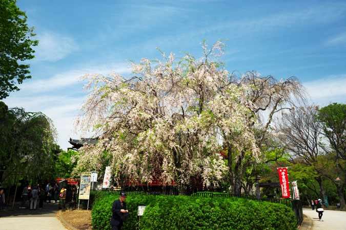 a0263109_17373955.jpg