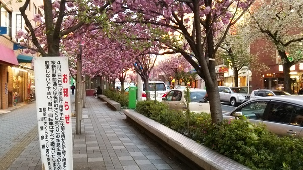 f0231709_0441134.jpg