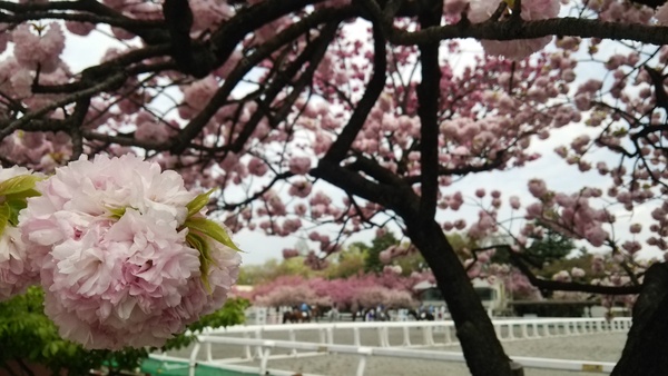 f0231709_0472551.jpg