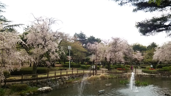 f0231709_0494642.jpg