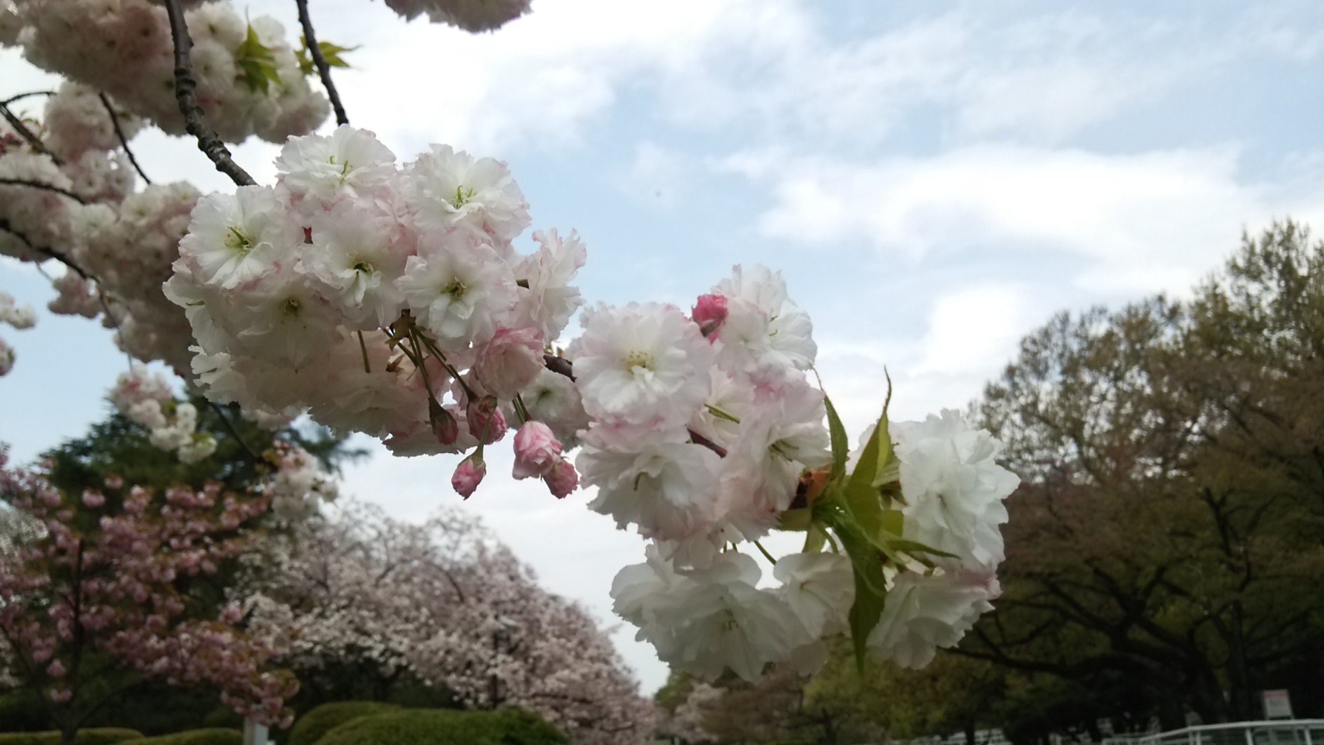 f0231709_0553171.jpg