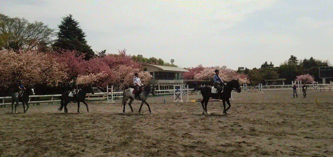 f0231709_1161351.gif