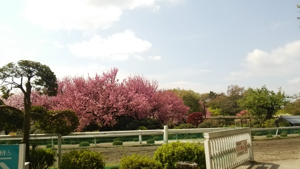 f0231709_17394783.jpg