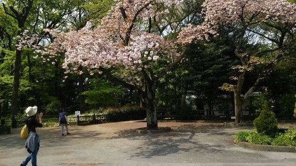 f0231709_17433198.jpg