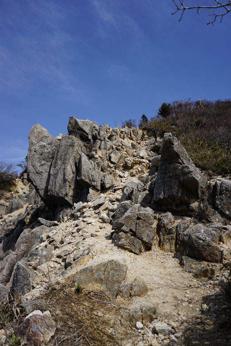 e0077010_1051321.jpg