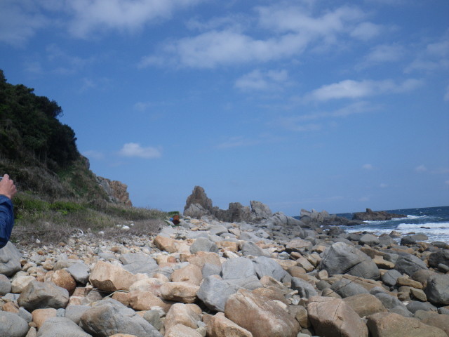 d0006512_08373507.jpg