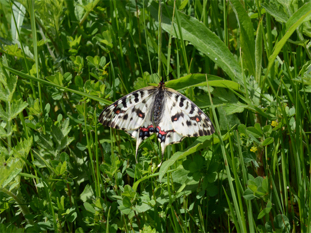 d0332816_1758561.jpg