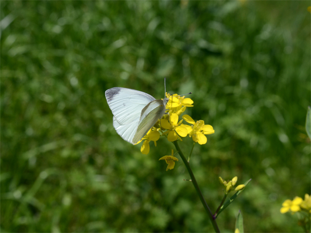 d0332816_1805957.jpg