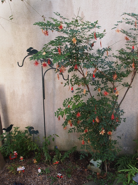 b0177323_15292159.jpg