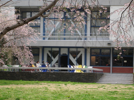 d0250123_21412227.jpg