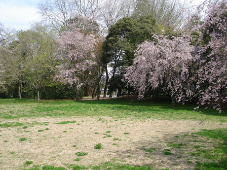 d0250123_215420100.jpg
