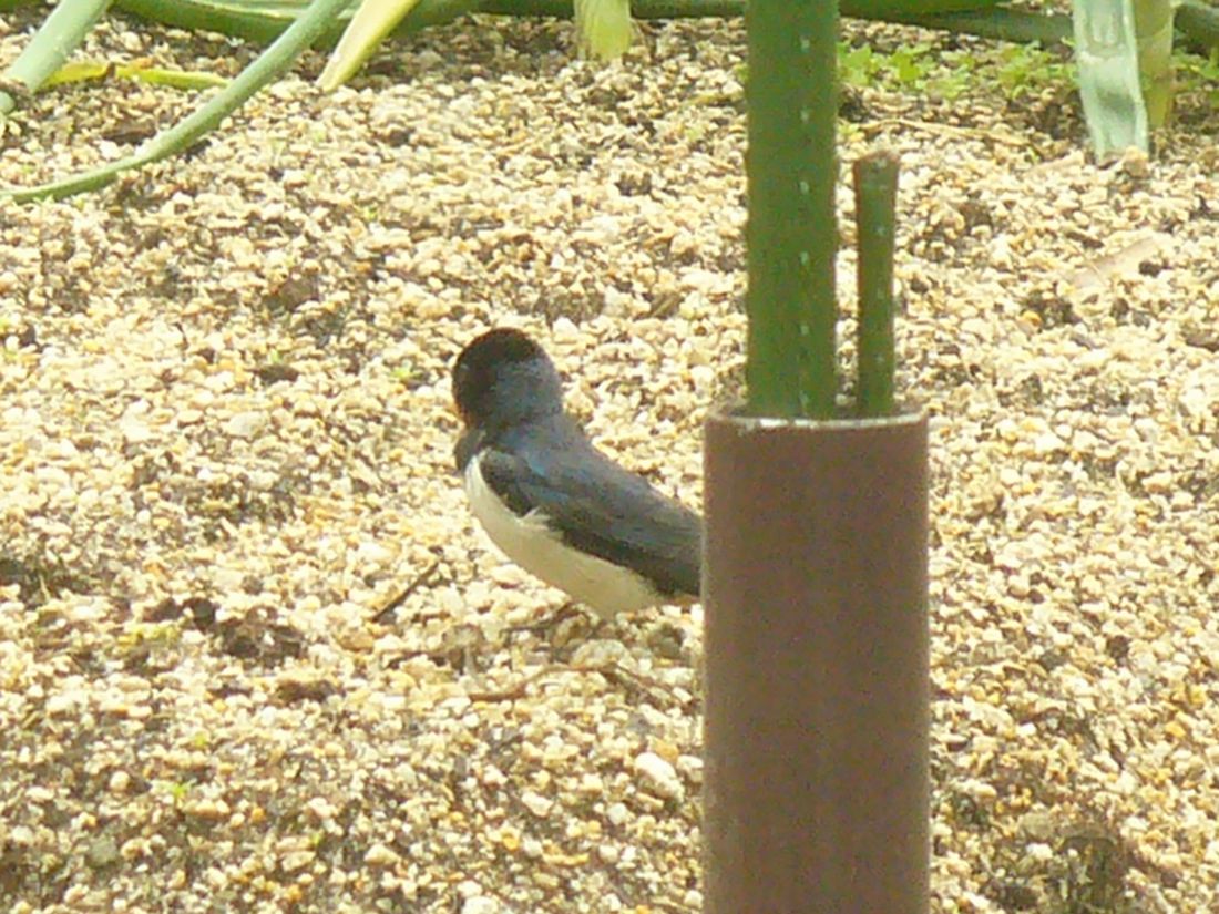 f0346527_2147151.jpg
