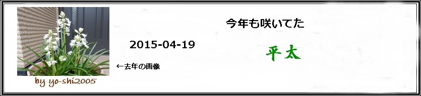 e0033229_21314142.jpg