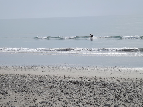 f0248337_850113.jpg