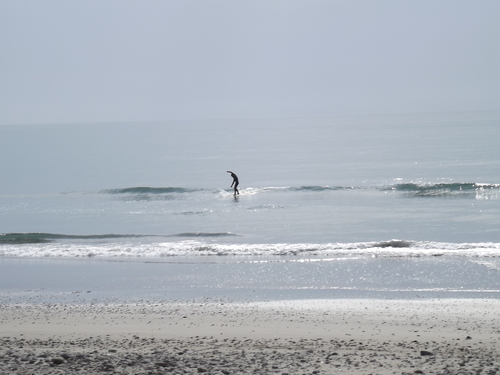 f0248337_850329.jpg