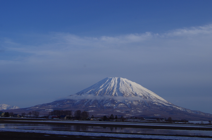 d0231339_2050338.jpg