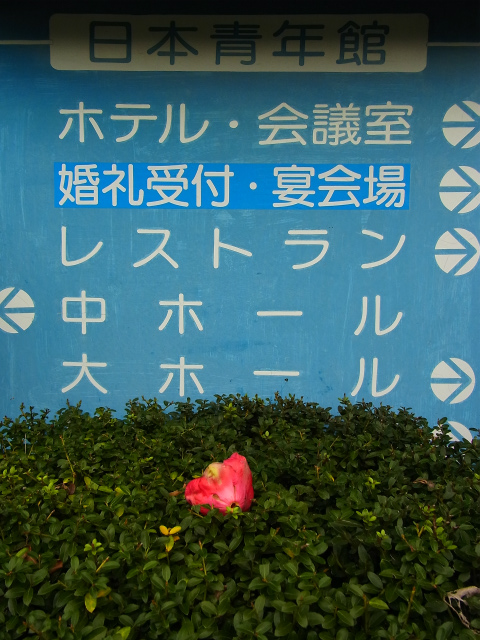a0087341_541543.jpg