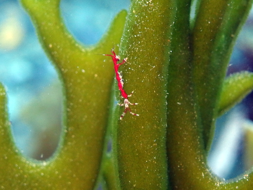 b0236647_14211585.jpg
