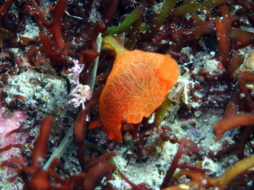 b0236647_14233131.jpg
