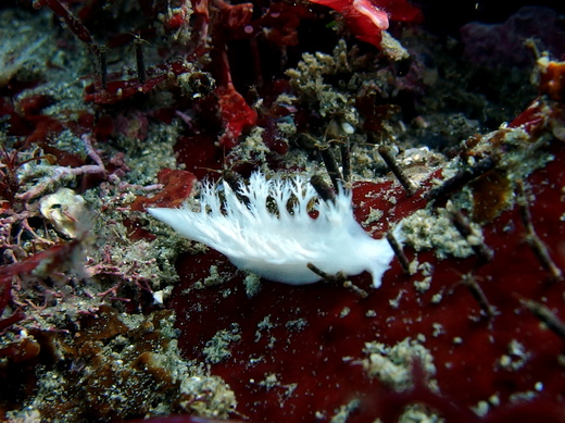 b0236647_14242746.jpg
