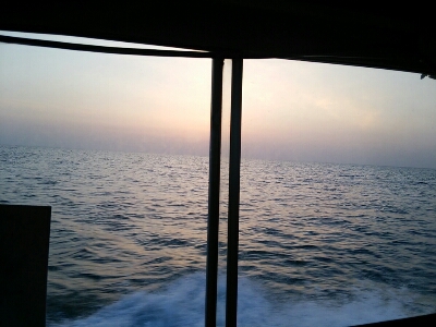 f0063356_9461259.jpg