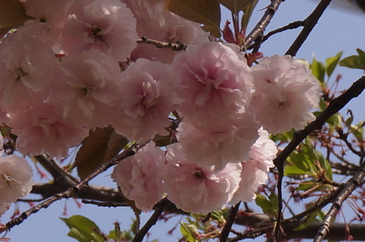 f0257756_12381472.jpg