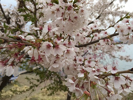 b0309157_20593110.jpg