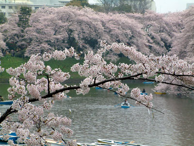 c0050264_11144824.jpg