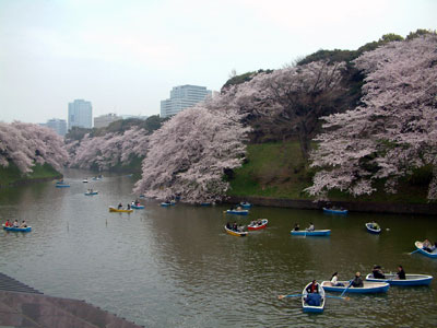 c0050264_11155869.jpg