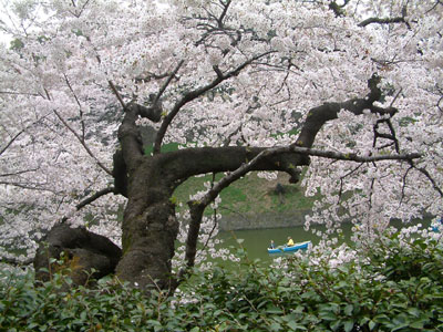 c0050264_11165883.jpg
