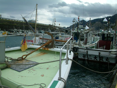 c0050264_1155541.jpg