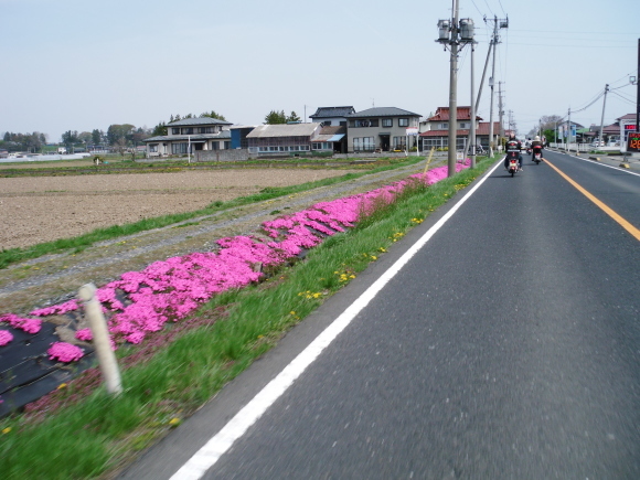c0325468_20582722.jpg