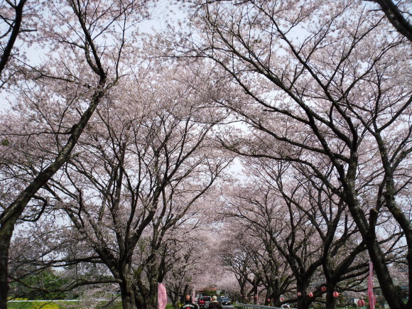 c0325468_21003763.jpg