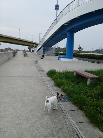 f0100871_13522653.jpg