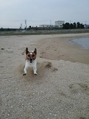 f0100871_13524931.jpg