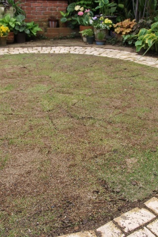 e0154682_22083331.jpg