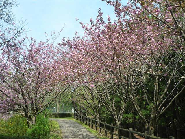 b0287088_16014328.jpg