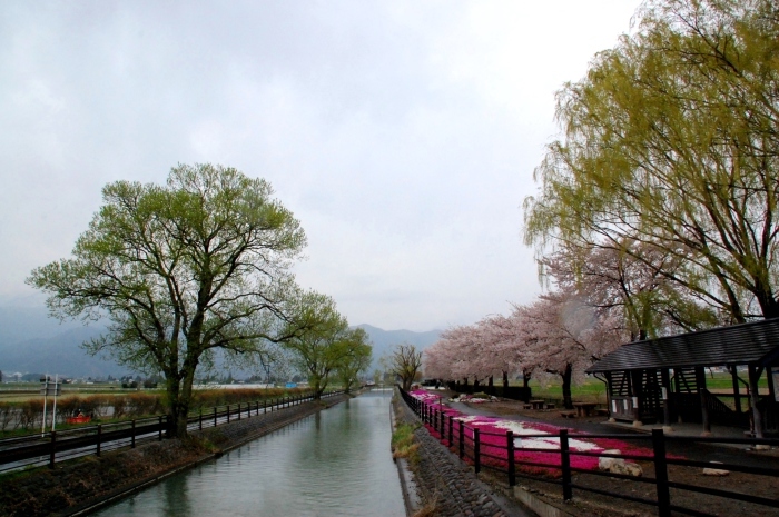c0246290_22485066.jpg