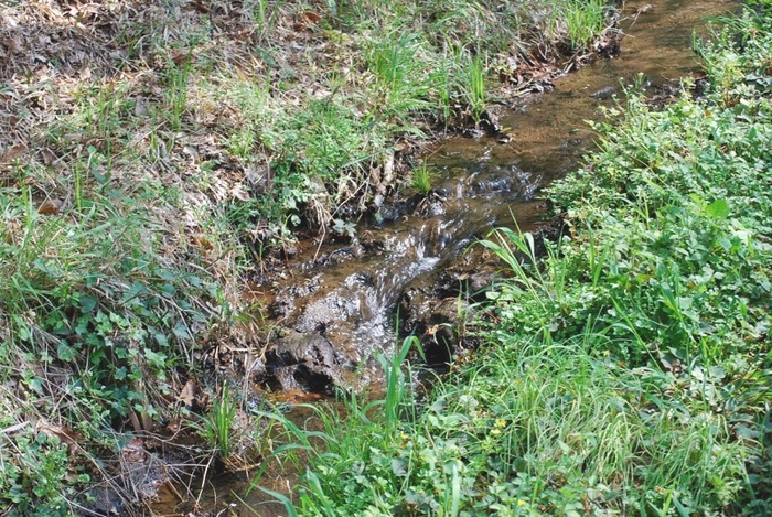 e0025300_20275826.jpg
