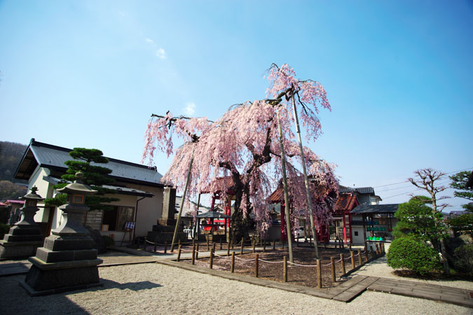 a0263109_17112873.jpg