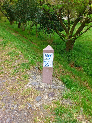 f0100911_2051346.jpg